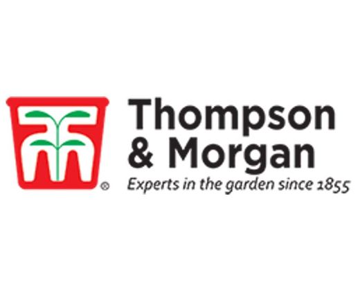 <h3><span class="heading--3"><a href="https://www.thompson-morgan.com/" target="_blank">Thompson &amp; Morgan</a> are the&nbsp;<b>UK's largest Mail Order Seed and Plant company.</b>&nbsp;Their product range&nbsp;includes&nbsp;award winning seed range, young plants, bulbs, seed potatoes, onions and garlic sets, soft fruit and fruit trees as well as an extensive range of gardening supplies.</span></h3>
